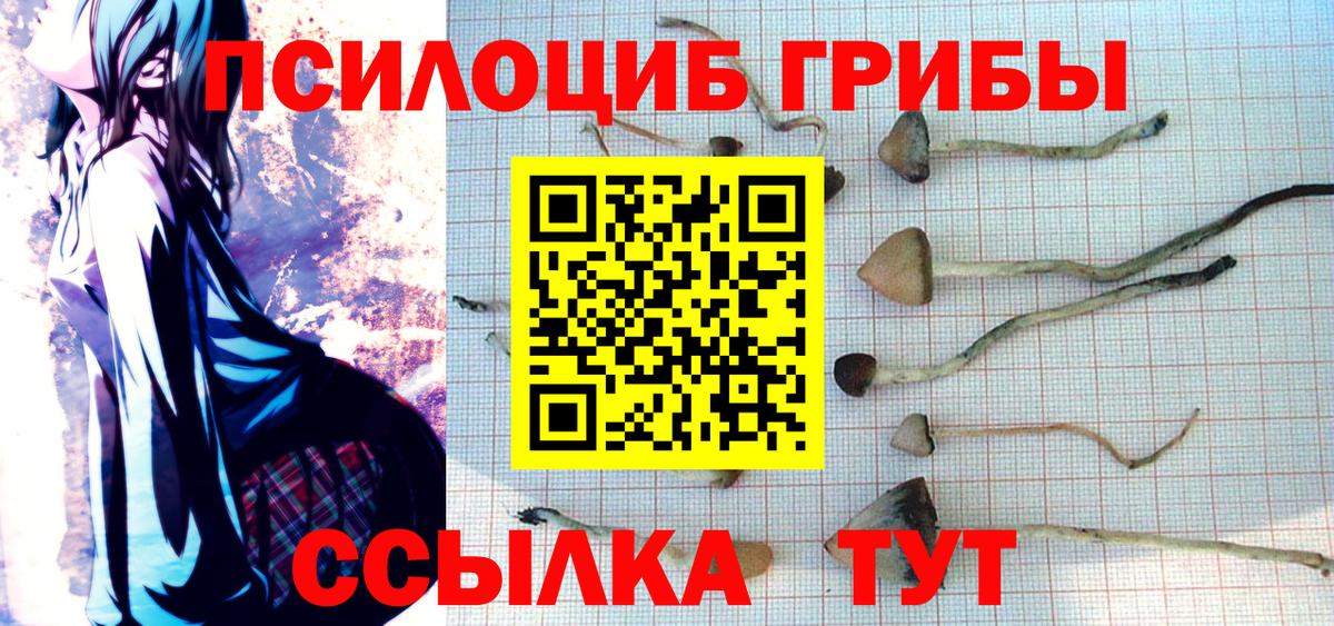 Псилоцибиновые грибы мицелий  Вход с VPN  Когалым 